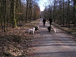 Enkheimer Ried
